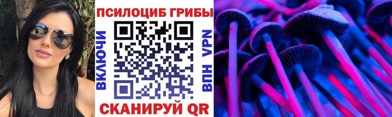 купить наркотик  Камешково  Галлюциногенные грибы Magic Shrooms 